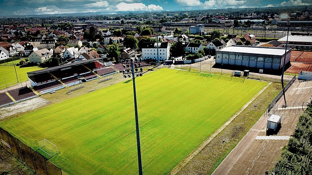 队需要在面 队需要在面