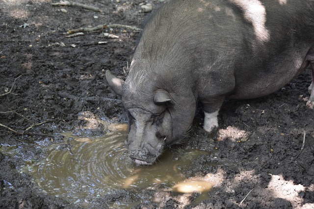 容增色不少 容增色不少