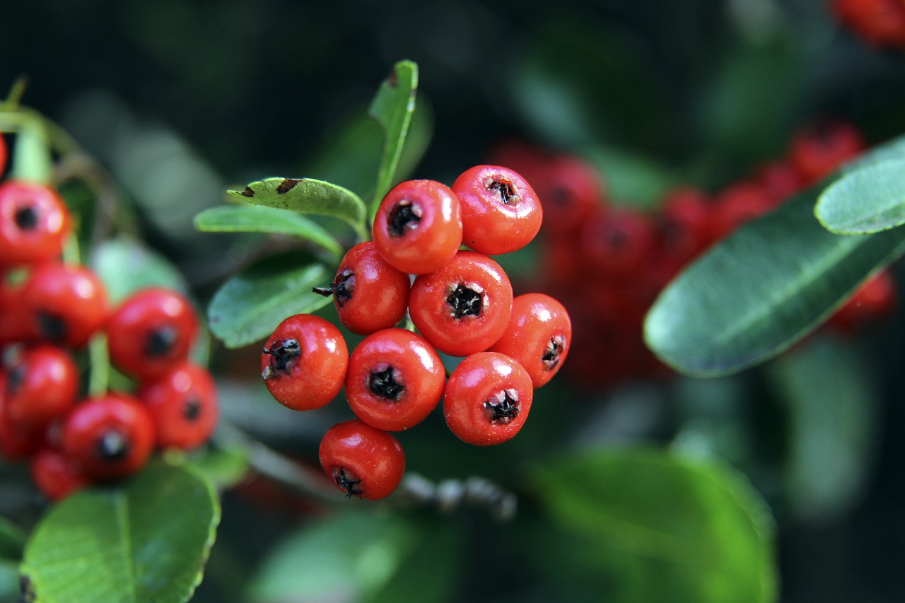 自我证明 自我证明